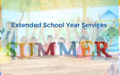 Demystifying Extended School Year Services: Guidance for Special Education Advocates and Parents