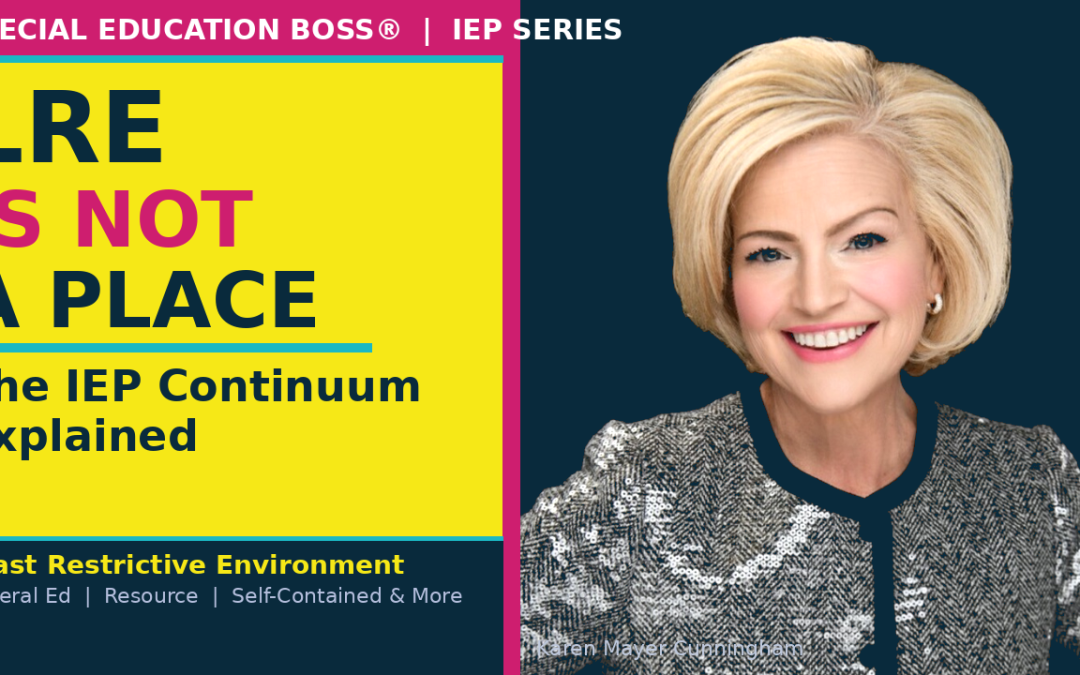 IEP Questions Answered: Paras, Prior Written Notice, Developmental Delay & More